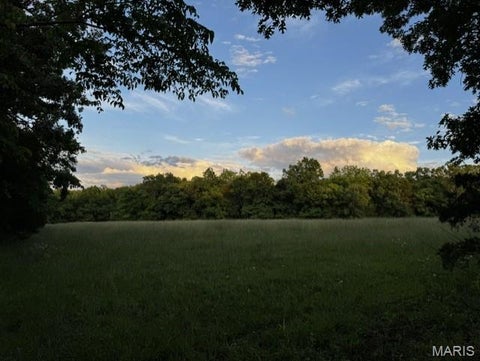Tiny photo for 6944 Hillsboro Road, Bonne Terre, MO 63628 (MLS # 26058738)