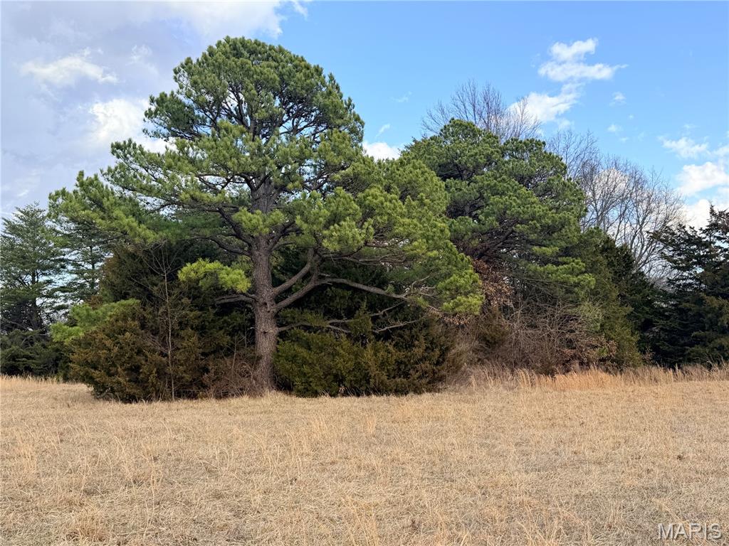 Tract 2A 935 Audrain Rd