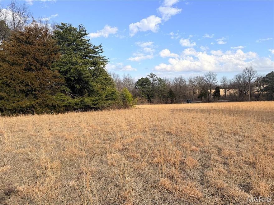 15.7 Acres. This is the perfect track if you are looking for open land to build your new home. No build restrictions. There are close to 200 acres available, in 19 different tracts. All have been surveyed.  Please contact an agent before entering the land