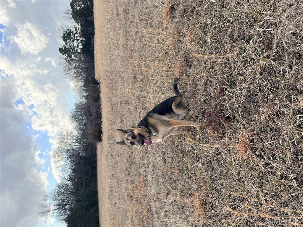 Tract 2A 935 Audrain Rd