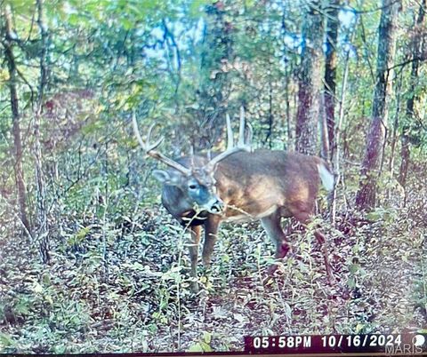 71 +/- Acres Ambro Lane Warrenton MO 63383