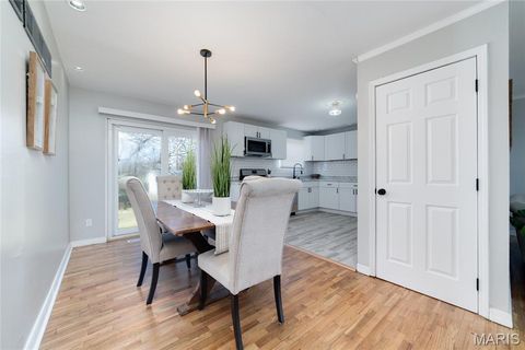 Tiny photo for 10541 Castle Drive, St Louis, MO 63136 (MLS # 26007762)