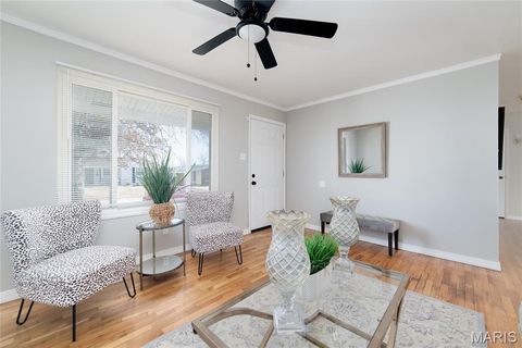 Tiny photo for 10541 Castle Drive, St Louis, MO 63136 (MLS # 26007762)