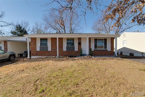 Photo of 10541 Castle Drive, St Louis, MO 63136 (MLS # 26007762)