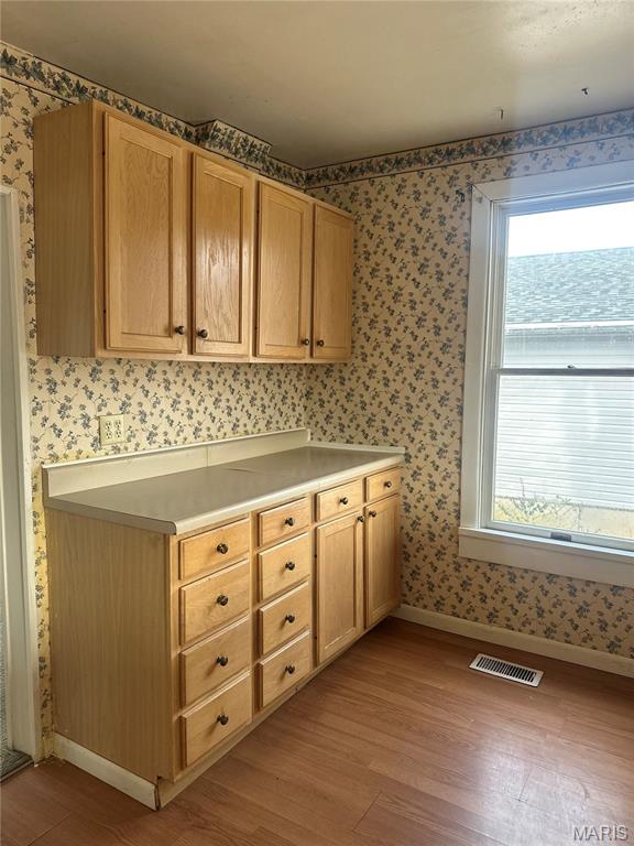 Lake View - Residential