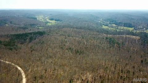 Parcel #1 Lake Road Silva MO 63964