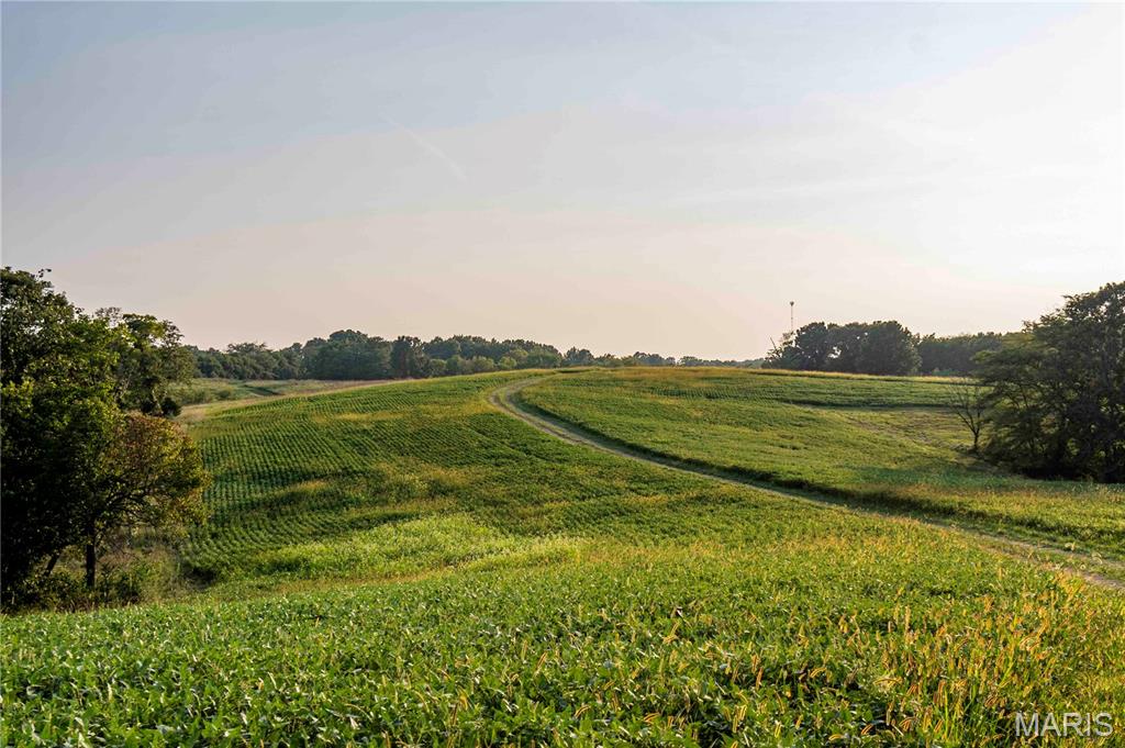 NA, N/A, None, 0 - Farm