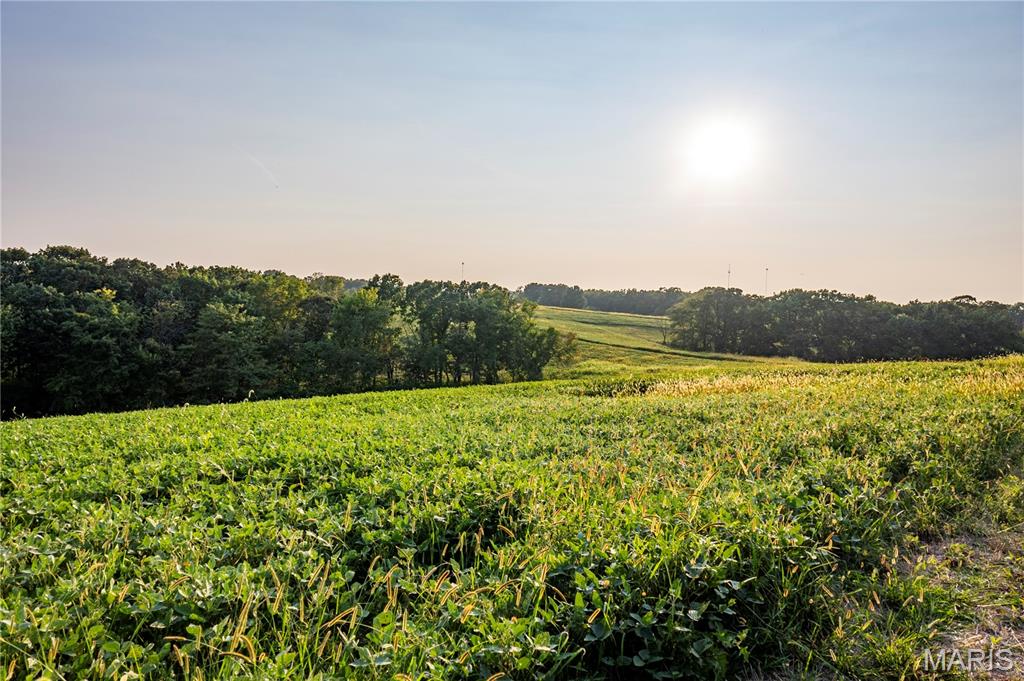 NA, N/A, None, 0 - Farm