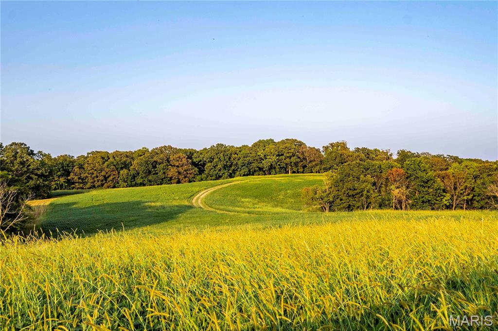 NA, N/A, None, 0 - Farm