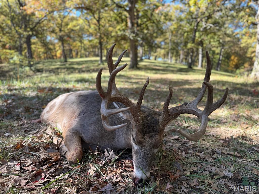 NA, N/A, None, 0 - Farm