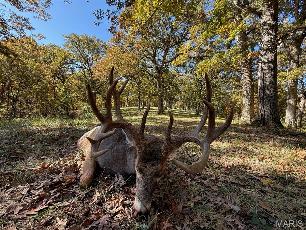 NA, N/A, None, 0 - Farm