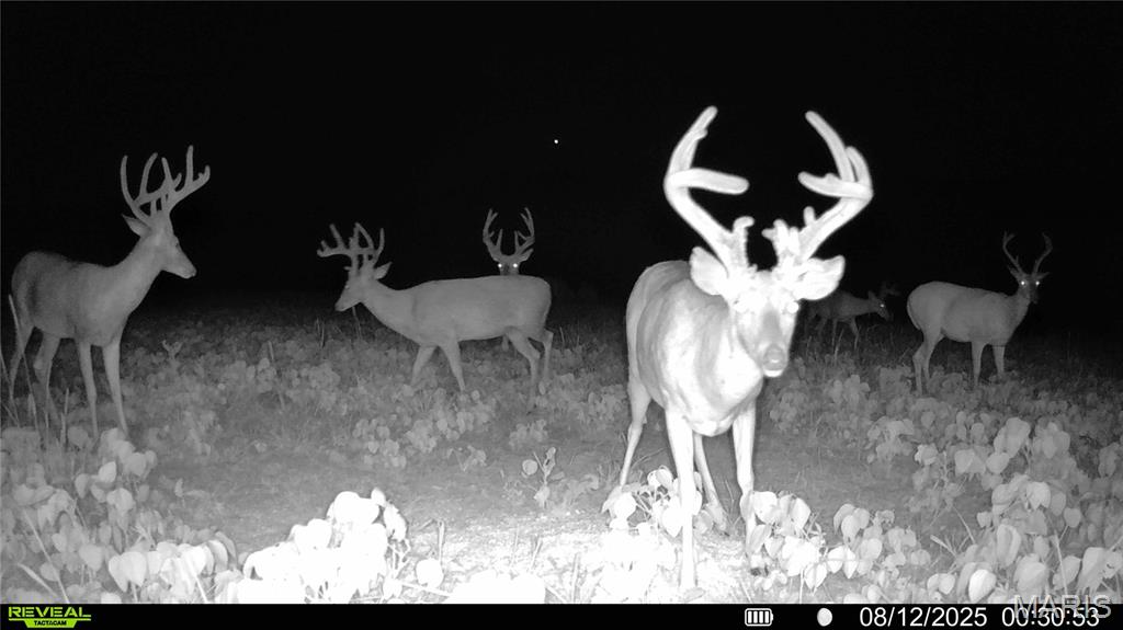 NA, N/A, None, 0 - Farm