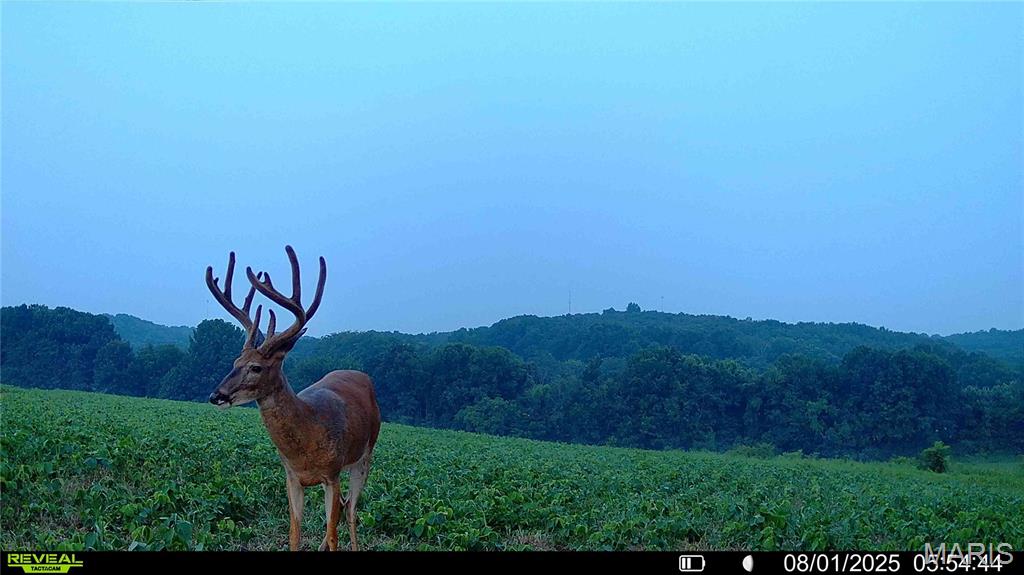 NA, N/A, None, 0 - Farm