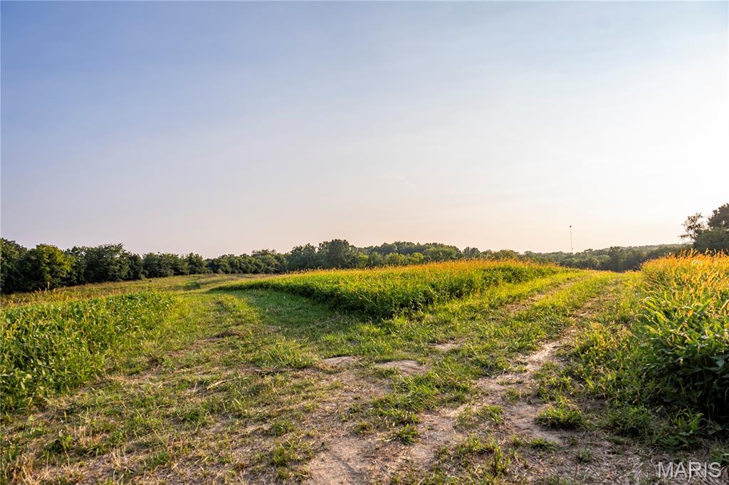 NA, N/A, None, 0 - Farm