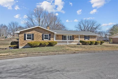 Photo of 235 Gerard Street, Ste Genevieve, MO 63670 (MLS # 26011600)