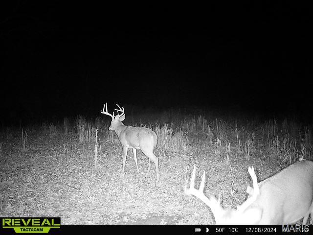 Kingston Lake Estates - Residential