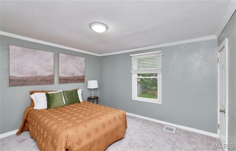 Tiny photo for 125 Lithia Avenue, Webster Groves, MO 63119 (MLS # 26022020)