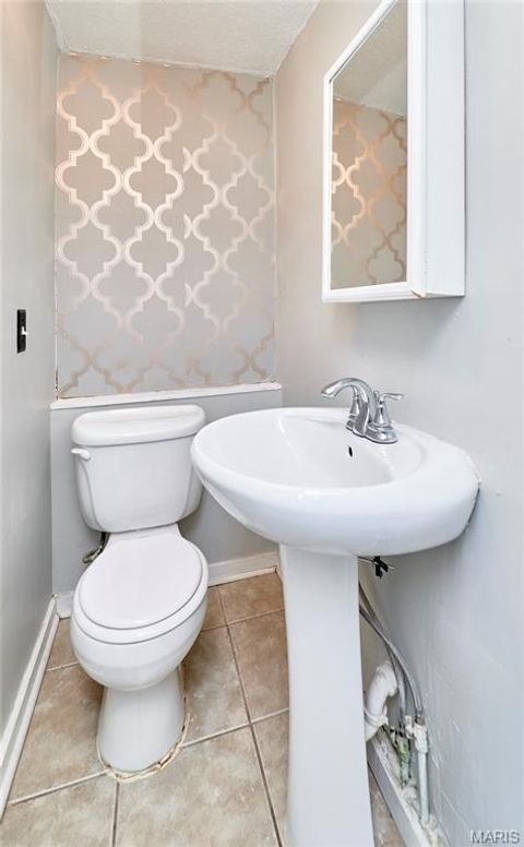 Tiny photo for 125 Lithia Avenue, Webster Groves, MO 63119 (MLS # 26022020)