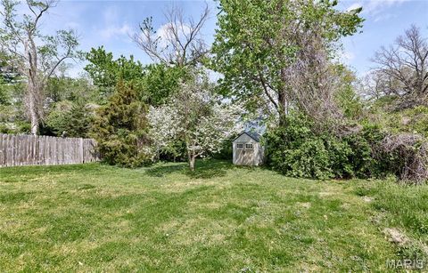 Tiny photo for 125 Lithia Avenue, Webster Groves, MO 63119 (MLS # 26022020)