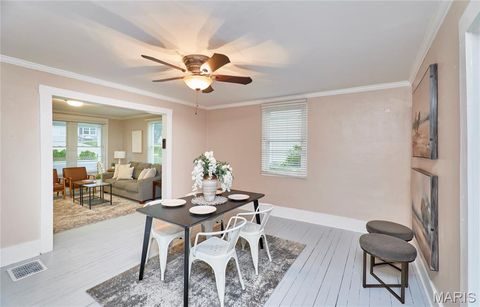 Tiny photo for 125 Lithia Avenue, Webster Groves, MO 63119 (MLS # 26022020)