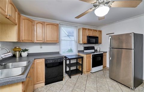 Tiny photo for 125 Lithia Avenue, Webster Groves, MO 63119 (MLS # 26022020)