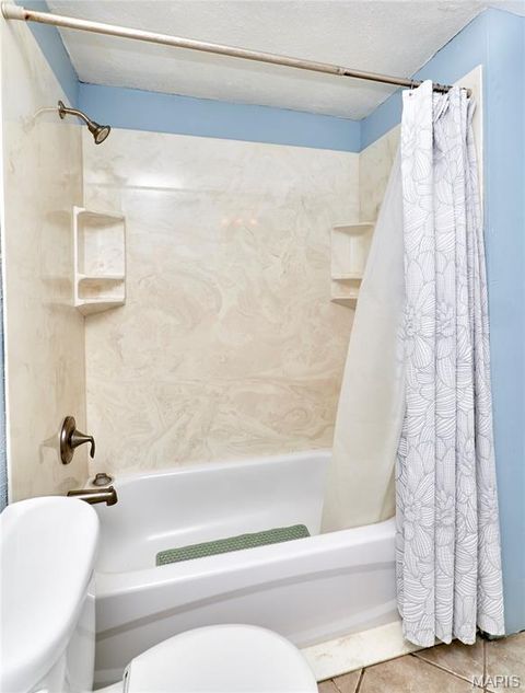 Tiny photo for 125 Lithia Avenue, Webster Groves, MO 63119 (MLS # 26022020)