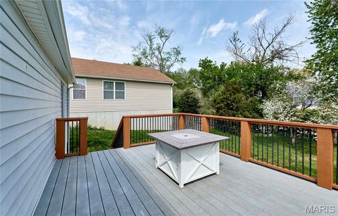 Tiny photo for 125 Lithia Avenue, Webster Groves, MO 63119 (MLS # 26022020)