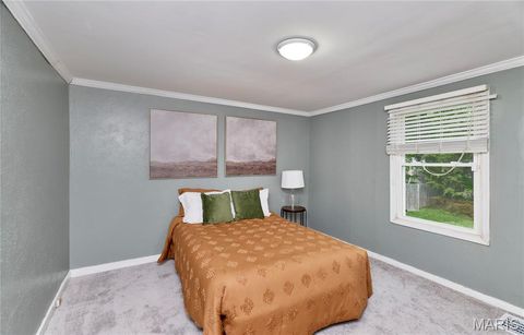 Tiny photo for 125 Lithia Avenue, Webster Groves, MO 63119 (MLS # 26022020)