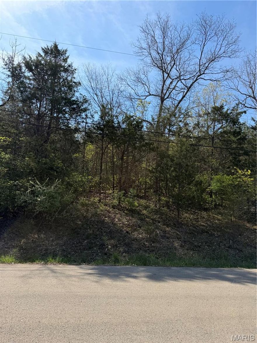 Amazing Building Lot in Terre Du Lac on the Skyview Golf Course and Lake View of Lac Marseilles  Paved road.  Beautiful building spot.