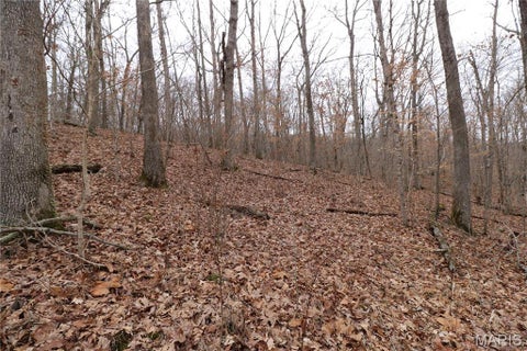 Tiny photo for 229 Anthonies Mill Road, Bourbon, MO 65441 (MLS # 26058483)