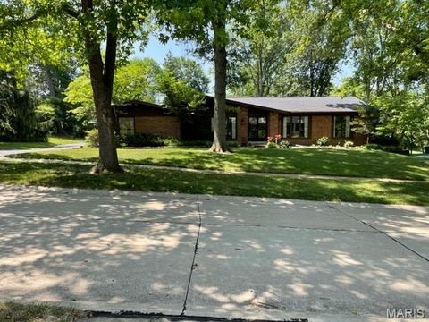 Photo of 502 Richley Drive, Chesterfield, MO 63017 (MLS # 25082479)