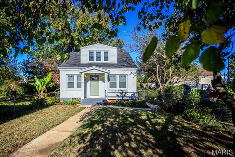 Tiny photo for 715 Erskine Avenue, St Louis, MO 63125 (MLS # 26014557)