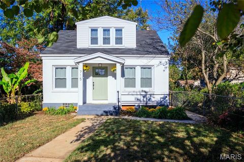 715 Erskine Avenue St Louis MO 63125