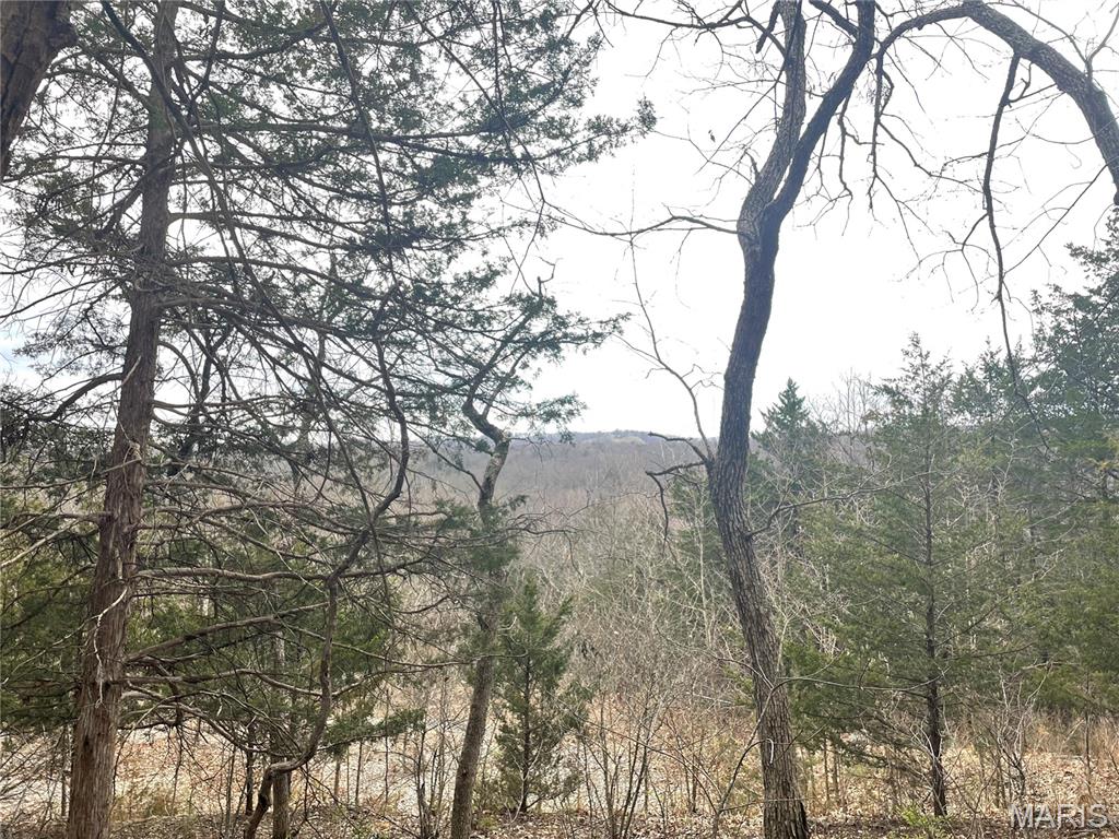 Stonesthrow Equestrian Estates - Land