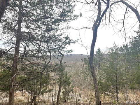 Tiny photo for 179 Stonesthrow Drive, Wildwood, MO 63038 (MLS # 26001869)