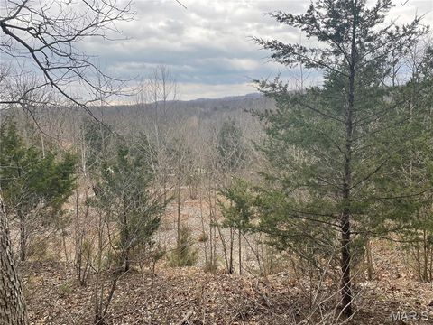 Tiny photo for 179 Stonesthrow Drive, Wildwood, MO 63038 (MLS # 26001869)