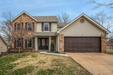Photo of 190 Oakbriar Farm Drive, Ballwin, MO 63021 (MLS # 25064788)