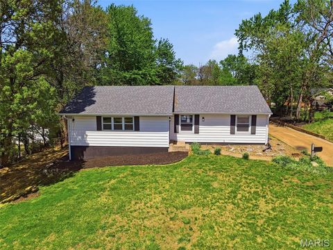 Photo of 10665 Farview Avenue, St Ann, MO 63074 (MLS # 26023261)