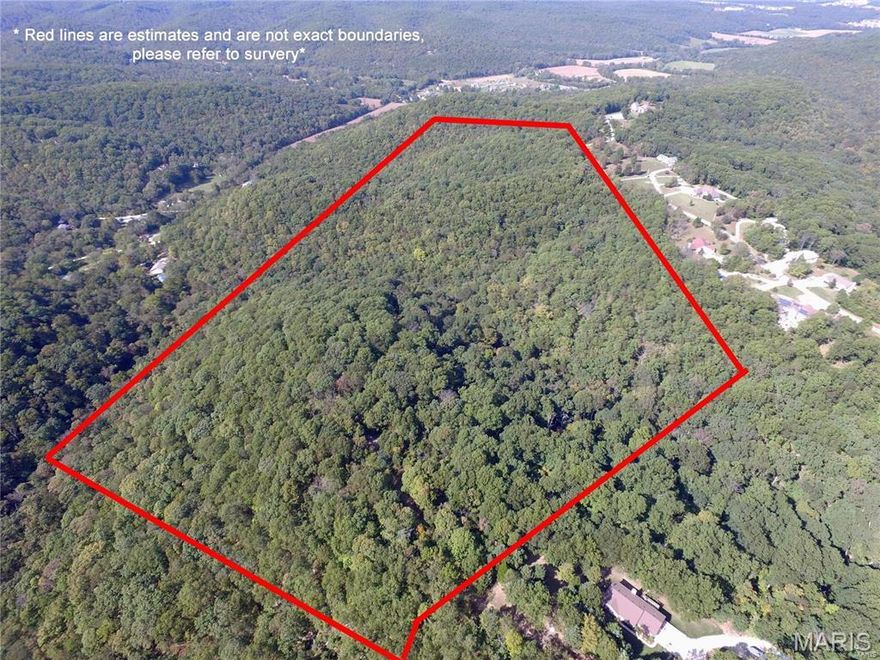 56.02 Acres with many possibilities! Build your dream house on super private acreage with beautiful views! Great recreational property - hunting, atv riding, camping, hiking, etc.
