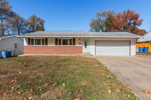 11061 Galaxy Drive Maryland Heights MO 63043