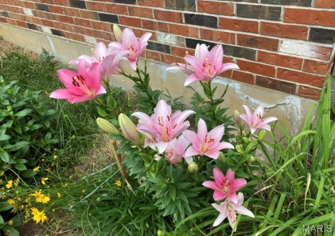 Tiny photo for 176 Spring Oaks Drive, Ballwin, MO 63011 (MLS # 26060849)