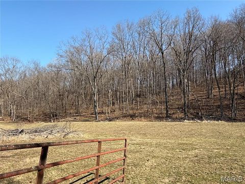 Tiny photo for 18491 Hencken Valley Estates Drive, Wildwood, MO 63069 (MLS # 26005315)