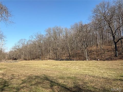 Tiny photo for 18491 Hencken Valley Estates Drive, Wildwood, MO 63069 (MLS # 26005315)