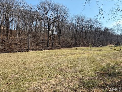 Tiny photo for 18491 Hencken Valley Estates Drive, Wildwood, MO 63069 (MLS # 26005315)