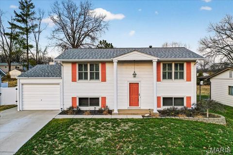 1881 San Pedro Lane Fenton MO 63026
