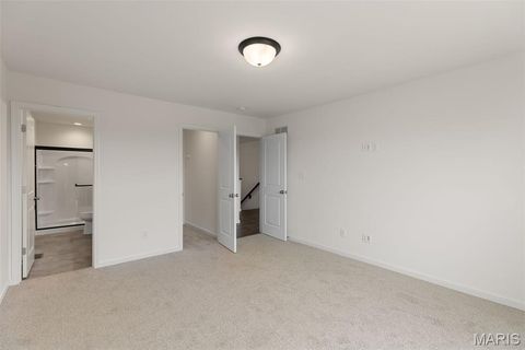 Tiny photo for 113 Day Lily Lane, Wentzville, MO 63385 (MLS # 25069271)