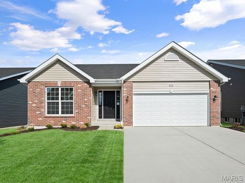 Photo of 113 Day Lily Lane, Wentzville, MO 63385 (MLS # 25069271)