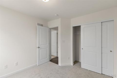 Tiny photo for 113 Day Lily Lane, Wentzville, MO 63385 (MLS # 25069271)