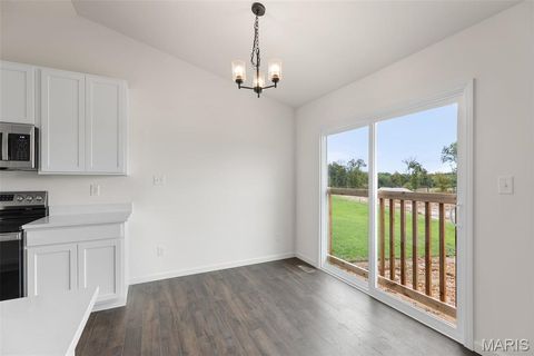 Tiny photo for 113 Day Lily Lane, Wentzville, MO 63385 (MLS # 25069271)