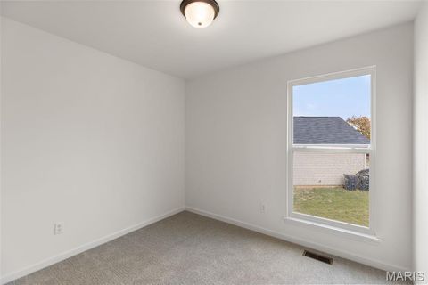 Tiny photo for 113 Day Lily Lane, Wentzville, MO 63385 (MLS # 25069271)